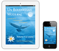 Unbouddhismemoderne